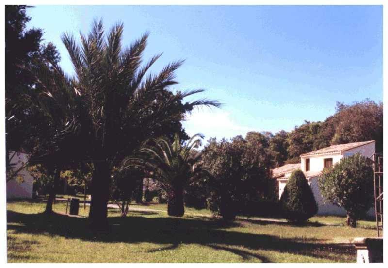 Domaine De L'Avidanella Apartment Santa-Lucia-di-Moriani Ngoại thất bức ảnh