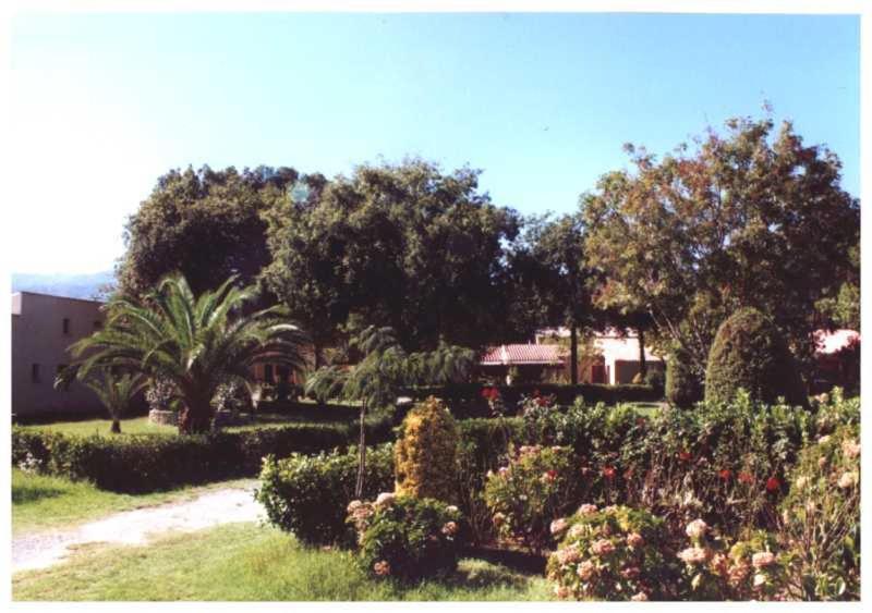 Domaine De L'Avidanella Apartment Santa-Lucia-di-Moriani Ngoại thất bức ảnh