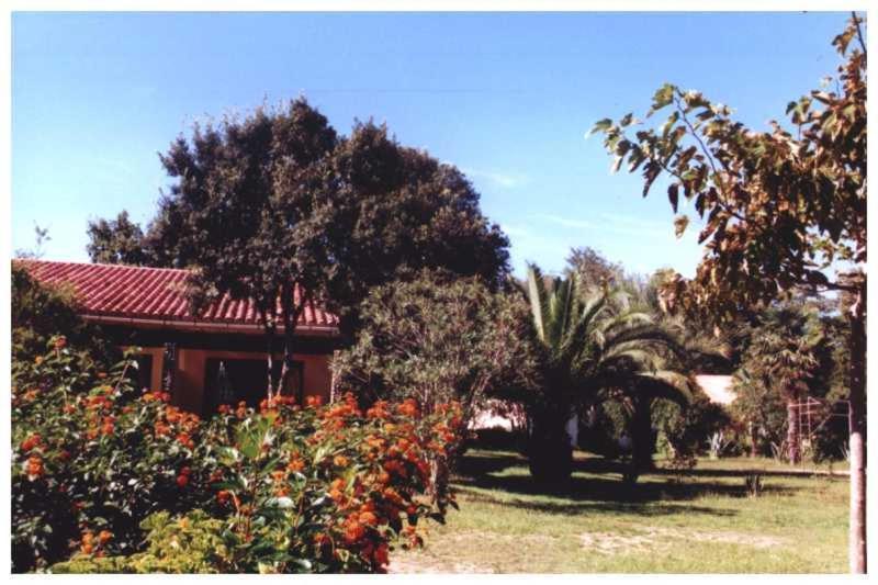 Domaine De L'Avidanella Apartment Santa-Lucia-di-Moriani Ngoại thất bức ảnh