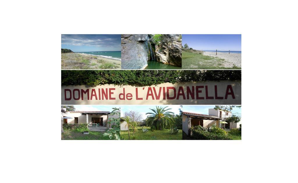 Domaine De L'Avidanella Apartment Santa-Lucia-di-Moriani Ngoại thất bức ảnh