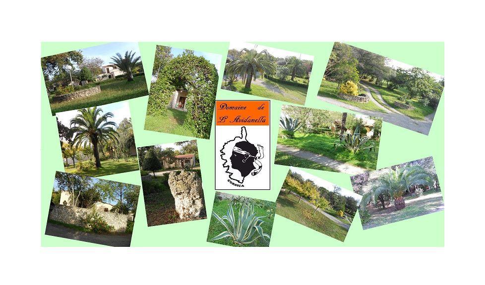 Domaine De L'Avidanella Apartment Santa-Lucia-di-Moriani Ngoại thất bức ảnh